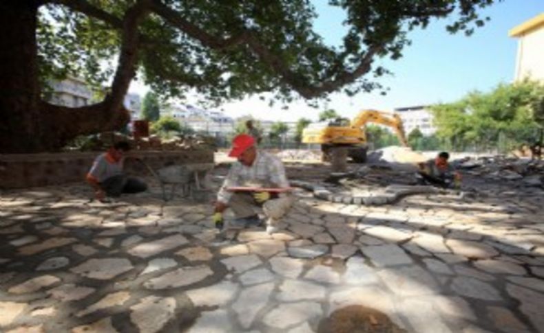 Karabağlar’da 600 yıllık çınar koruma altında